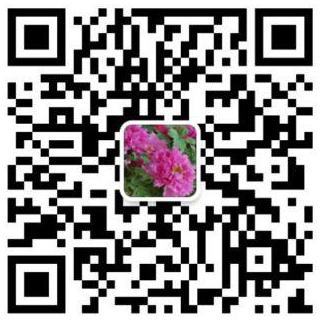 乐鱼体育官网入口